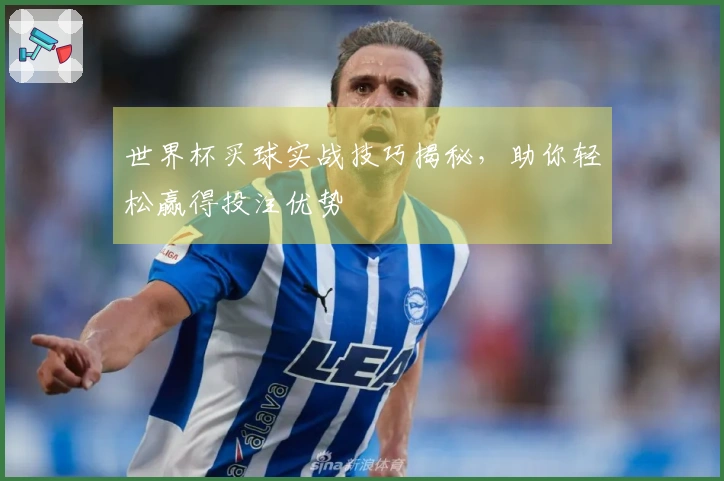 世界杯买球实战技巧揭秘，助你轻松赢得投注优势