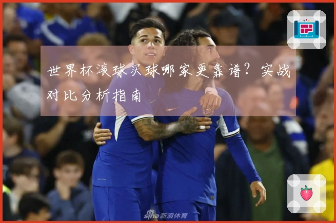 世界杯滚球买球哪家更靠谱？实战对比分析指南