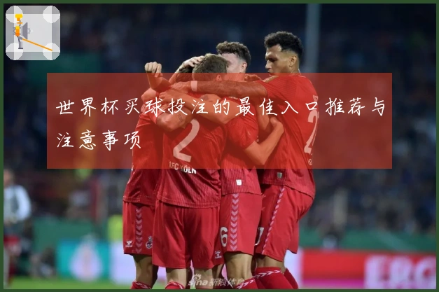 世界杯买球投注的最佳入口推荐与注意事项