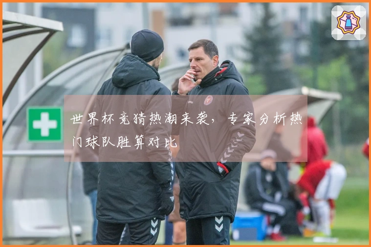 世界杯竞猜热潮来袭,专家分析热门球队胜算对比