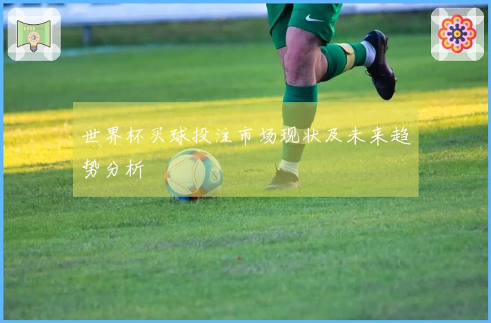世界杯买球投注市场现状及未来趋势分析