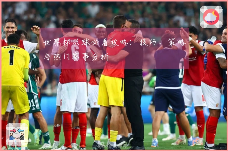 世界杯买球必看攻略：技巧、策略与热门赛事分析