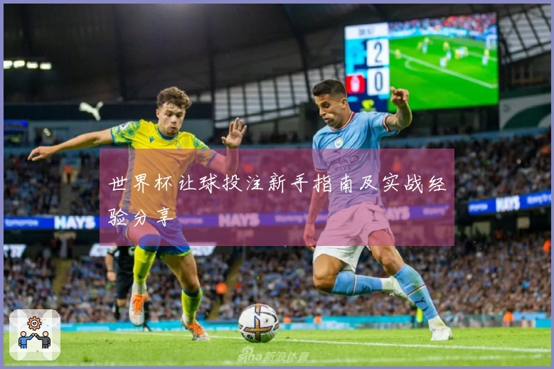 世界杯让球投注新手指南及实战经验分享