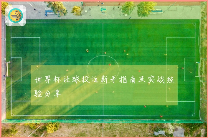 世界杯让球投注新手指南及实战经验分享