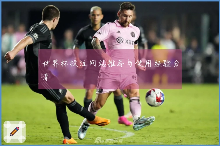 世界杯投注网站推荐与使用经验分享