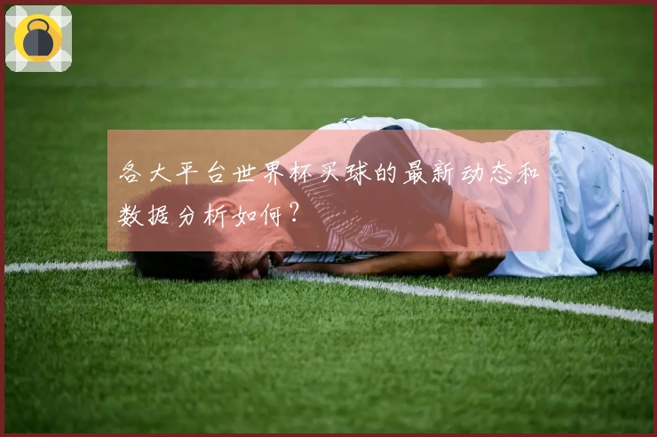 各大平台世界杯买球的最新动态和数据分析如何？