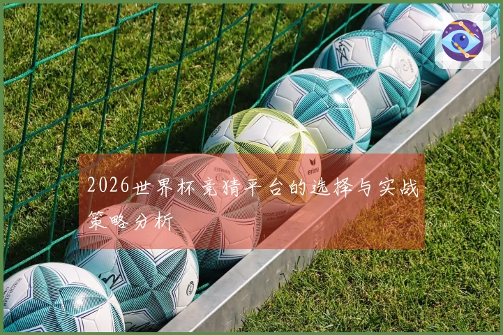 2026世界杯竞猜平台的选择与实战策略分析