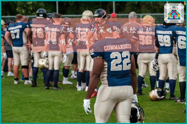 世界杯买球投注的策略与风险分析，助你明智下注