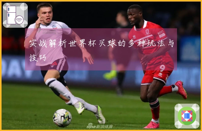 实战解析世界杯买球的多种玩法与技巧
