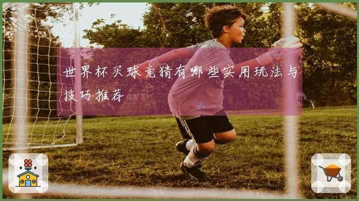 世界杯买球竞猜有哪些实用玩法与技巧推荐