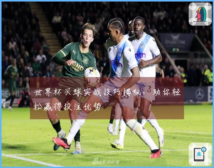 世界杯买球实战技巧揭秘,助你轻松赢得投注优势