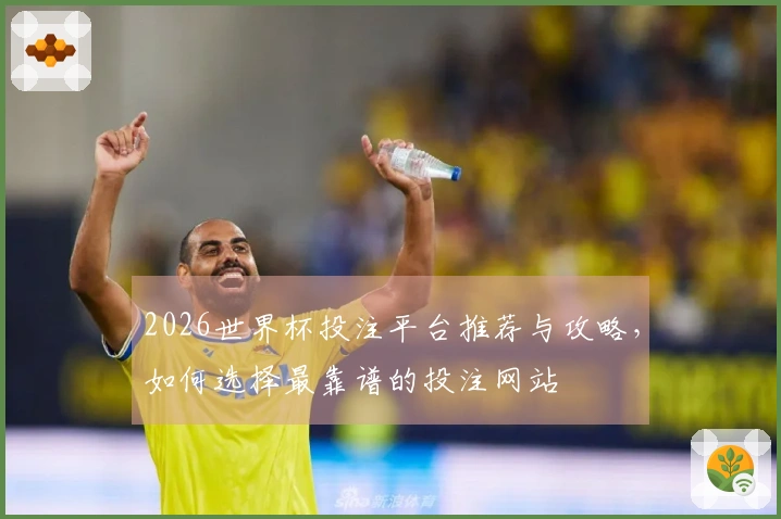 2026世界杯投注平台推荐与攻略，如何选择最靠谱的投注网站