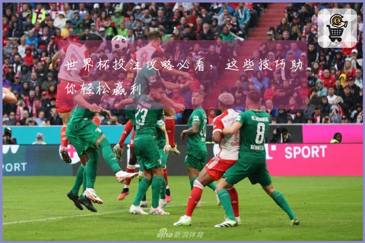 世界杯投注攻略必看，这些技巧助你轻松赢利