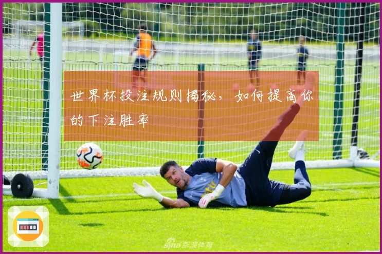 世界杯投注规则揭秘,如何提高你的下注胜率