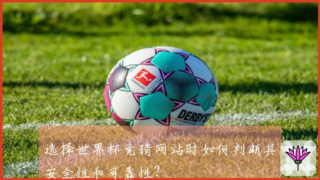 选择世界杯竞猜网站时如何判断其安全性和可靠性？