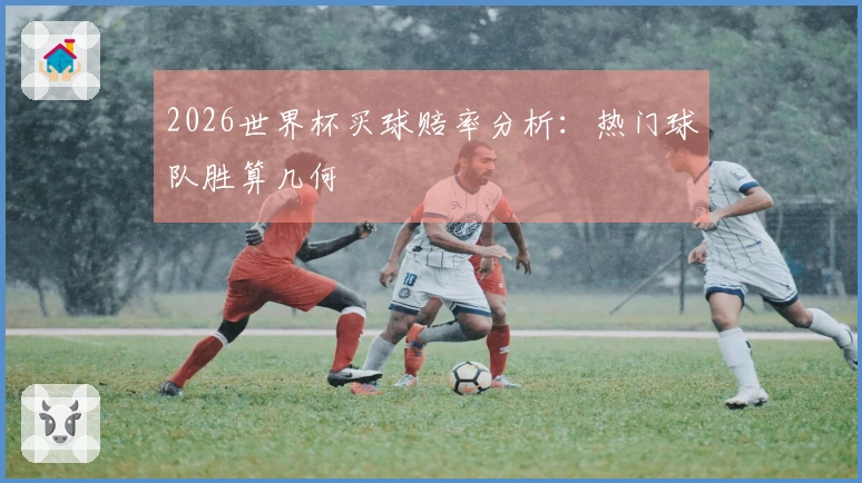 2026世界杯买球赔率分析：热门球队胜算几何