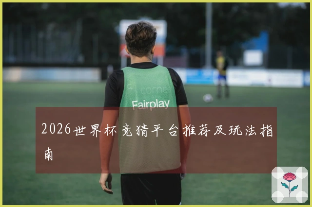2026世界杯竞猜平台推荐及玩法指南