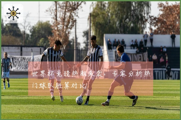 世界杯竞猜热潮来袭，专家分析热门球队胜算对比